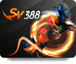 A Beginner's Guide to BK8 Bet Online Betting Options
